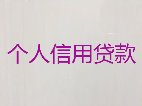 阳春信用贷款中介公司